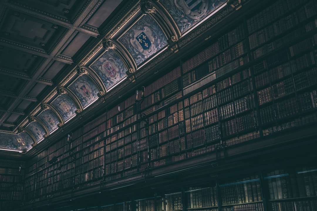 配图